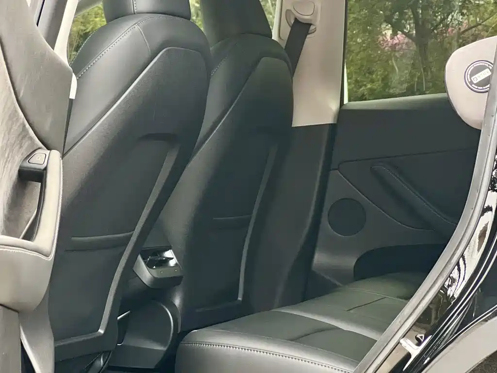 Tesla Model Y — миниатюра 12