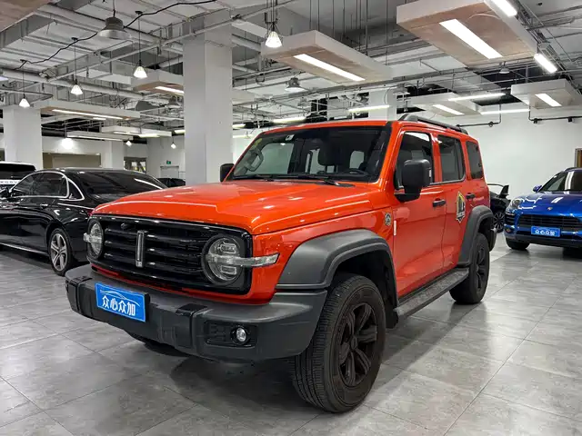 2021 TANK 300