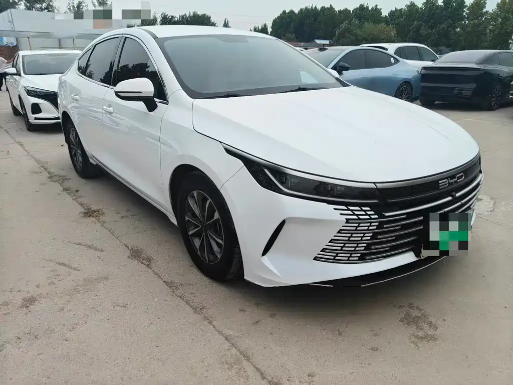 BYD Destroyer 05 — миниатюра 3