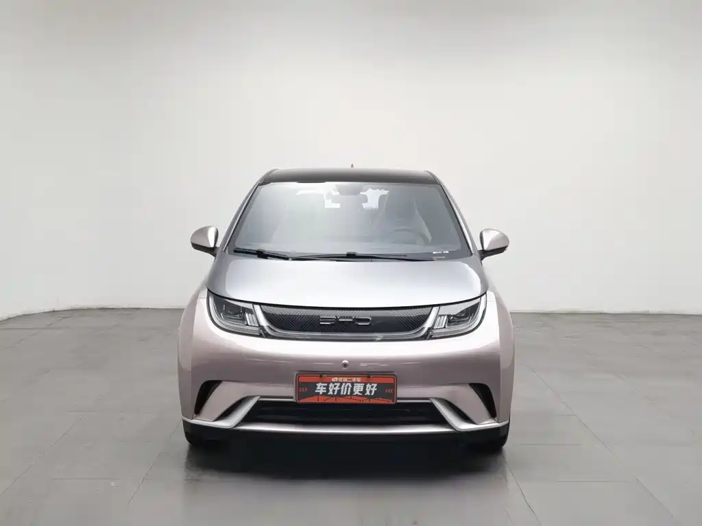 BYD Dolphin — миниатюра 3