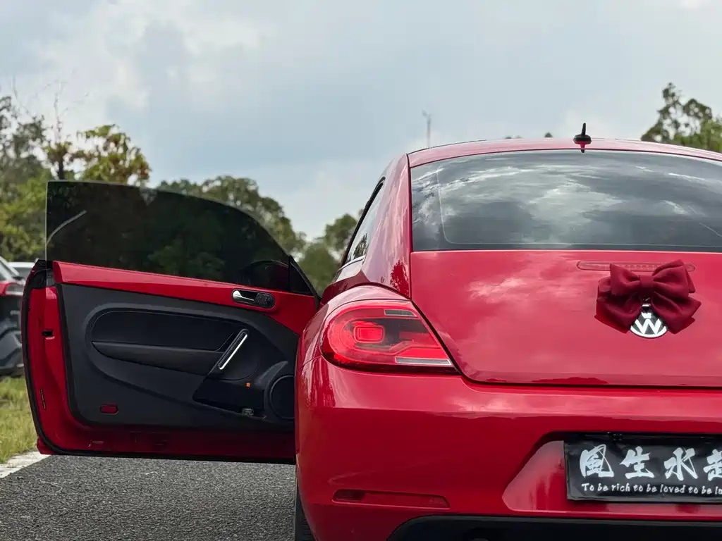 Volkswagen Beetle — миниатюра 11