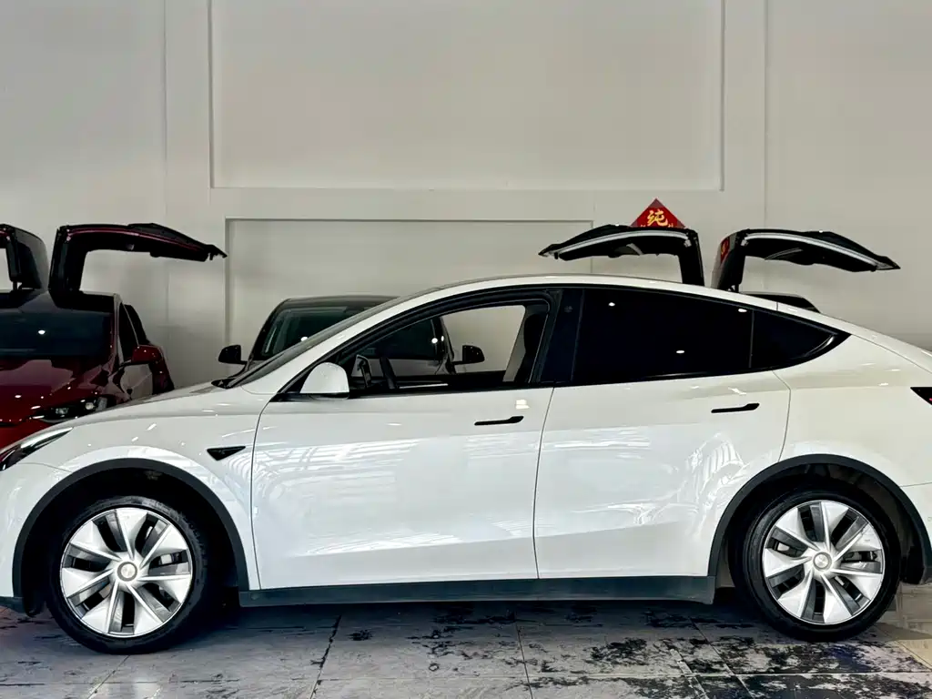 Tesla Model Y — миниатюра 7