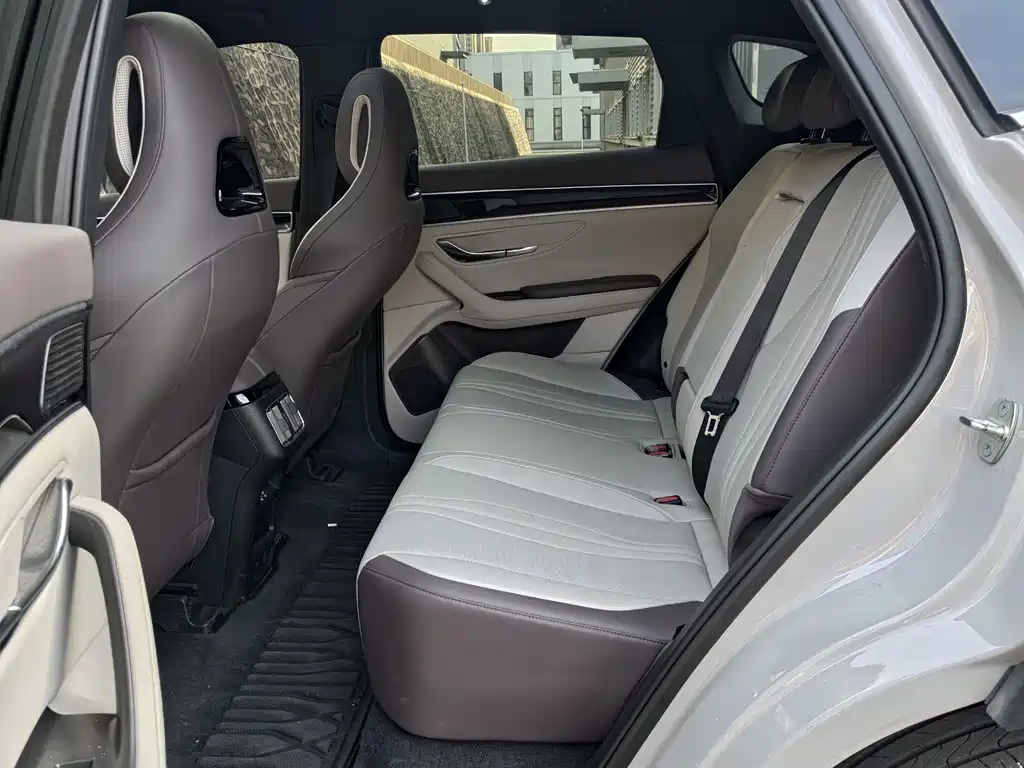 BYD SONGJIANG NEW ENERGY