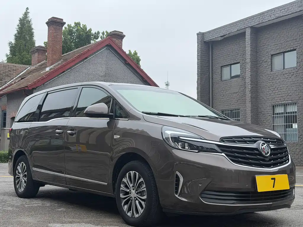 Buick GL8 — миниатюра 8