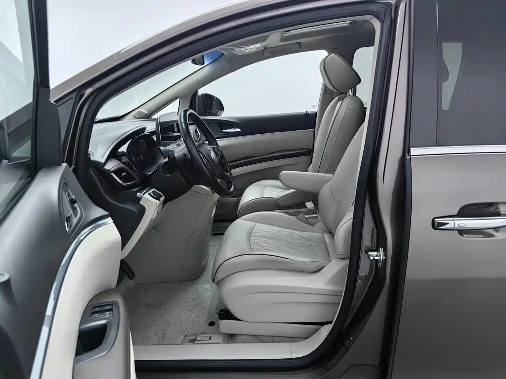 Buick GL8 — миниатюра 10