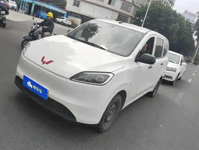 WULING WULING HONGGUANG NEW ENERGY 2024