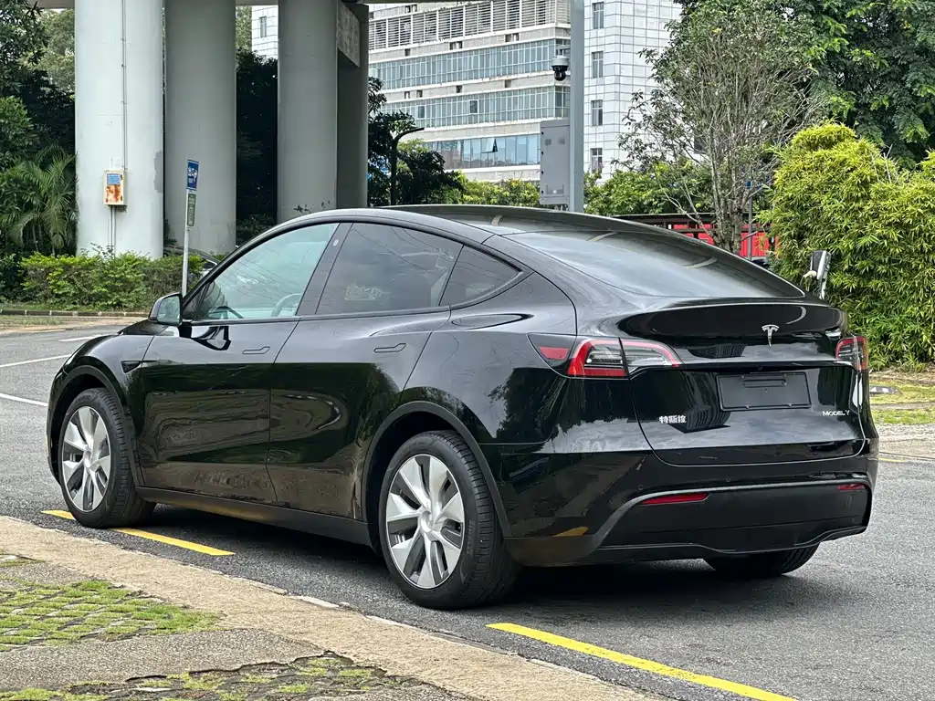 Tesla Model Y — миниатюра 13