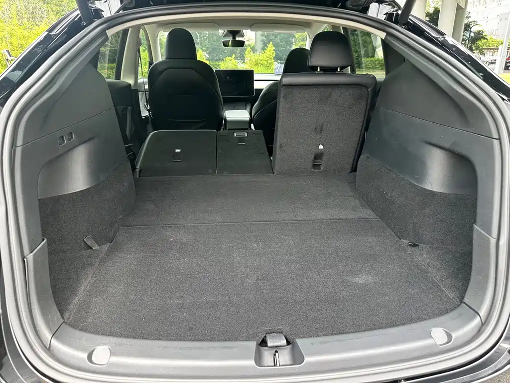 Tesla Model Y — миниатюра 16