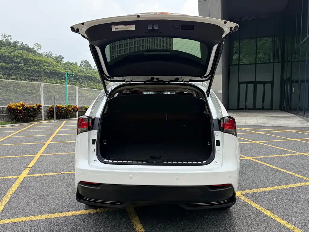 Lexus NX — миниатюра 21