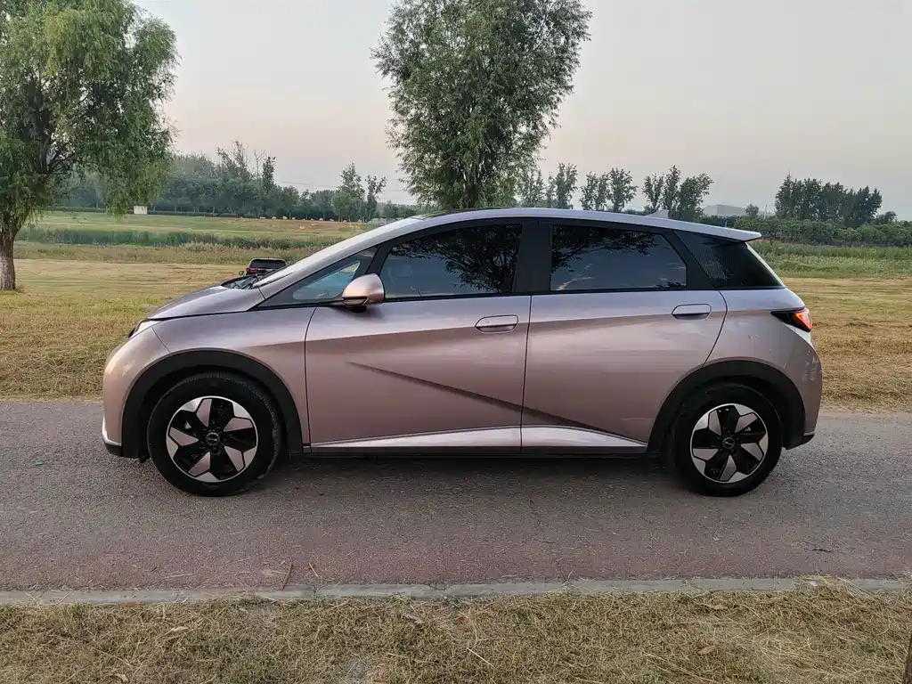 BYD Dolphin — миниатюра 5