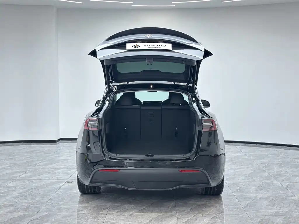 Tesla Model Y — миниатюра 7