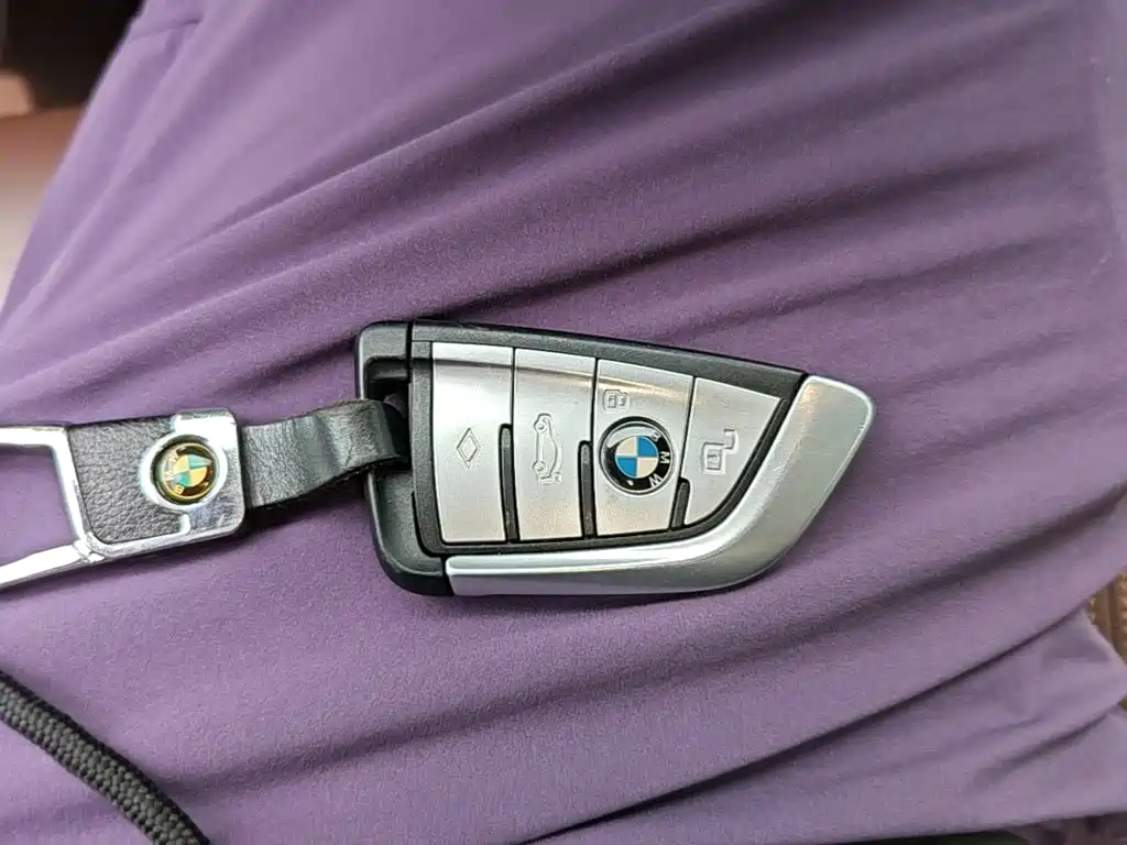 BMW X5 (Import) — миниатюра 20