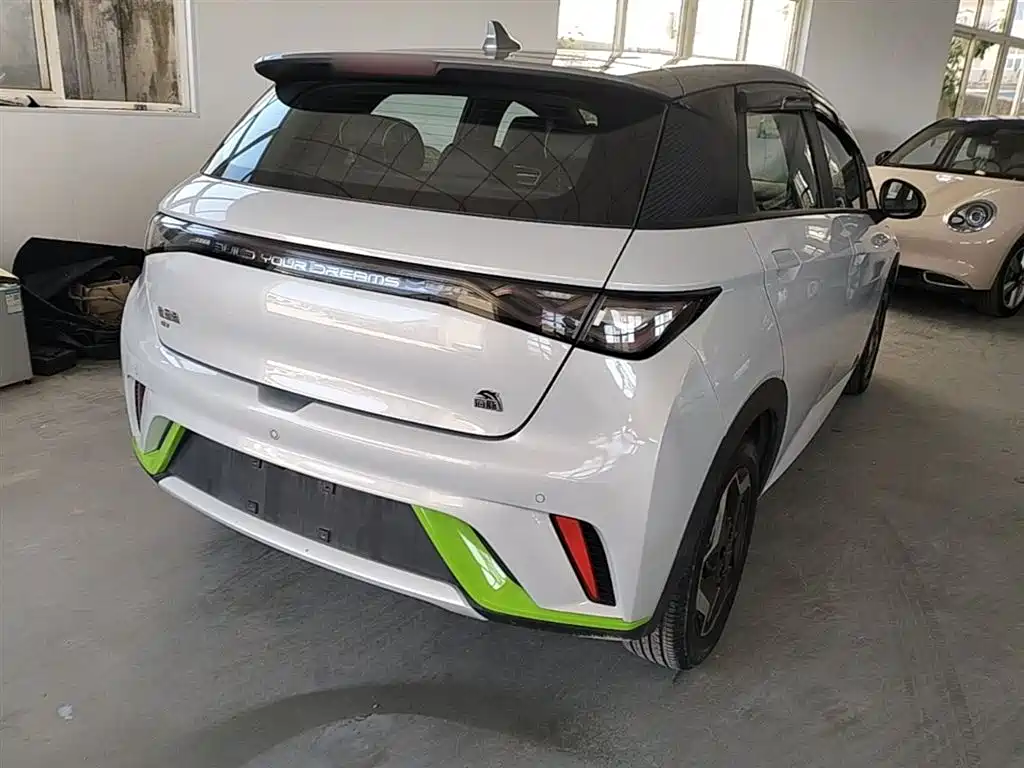 BYD Dolphin 2021 405km Fashion