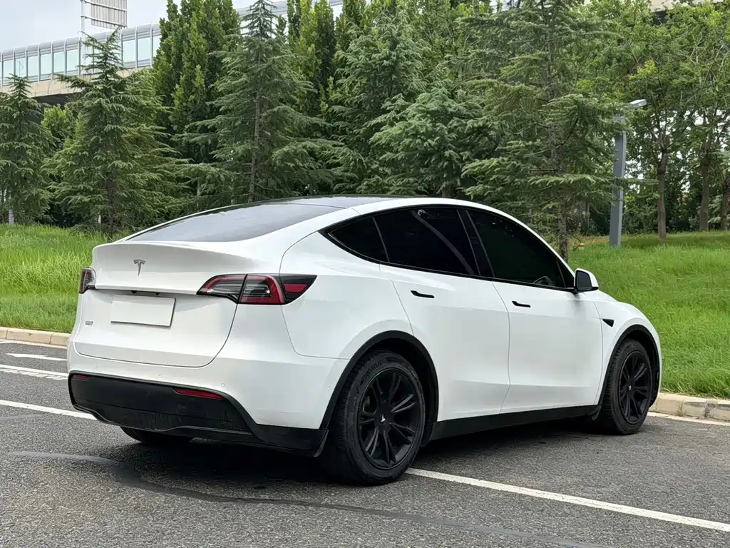 Tesla Model Y — миниатюра 10