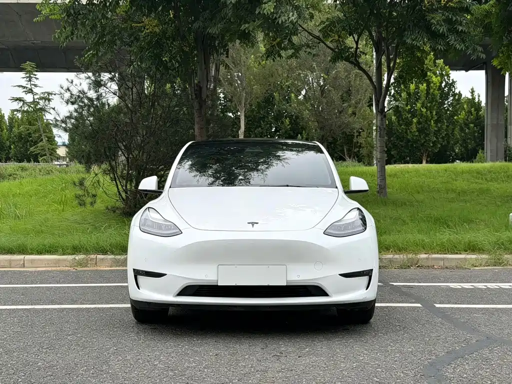 Tesla Model Y — миниатюра 2