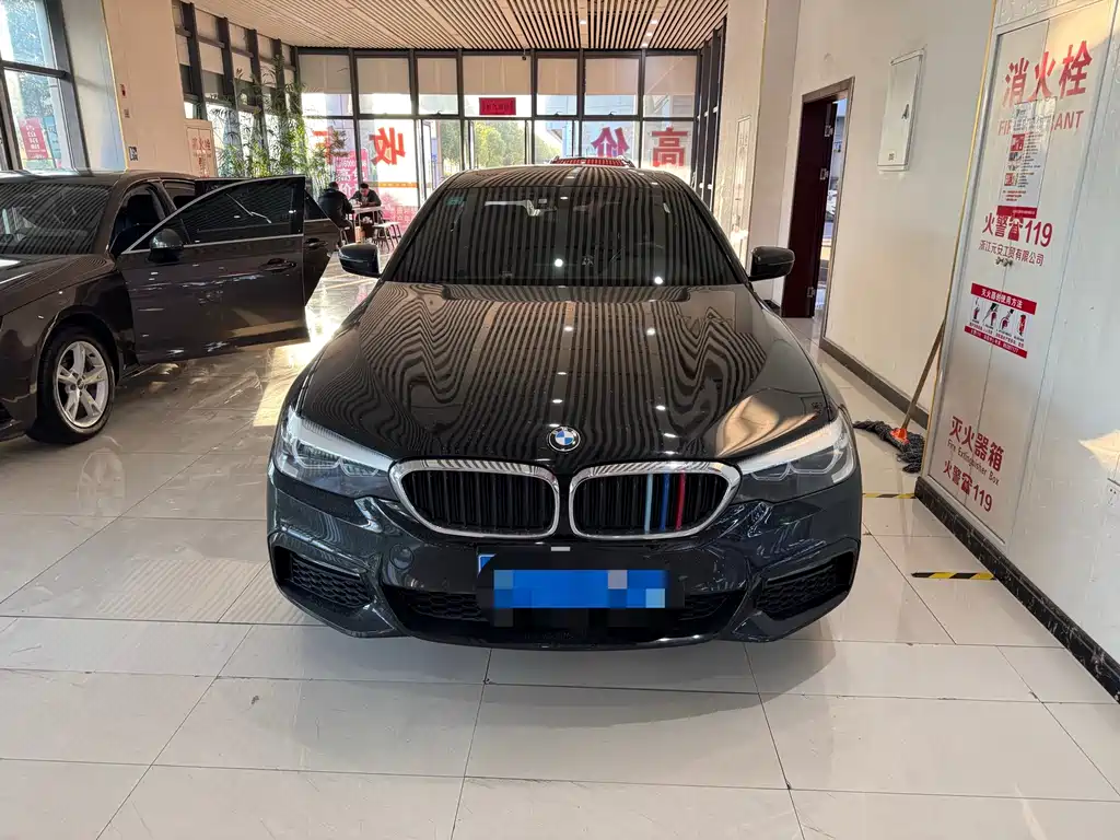 BMW 5 Series — миниатюра 2