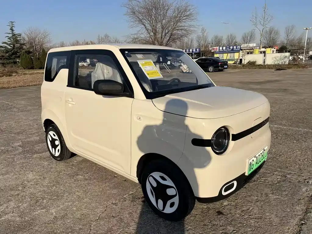 GEELY GALAXY PANDA