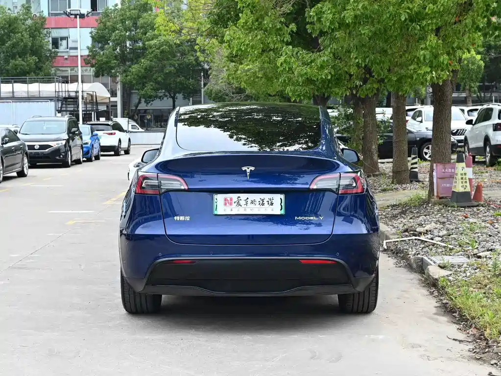 Tesla Model Y — миниатюра 4