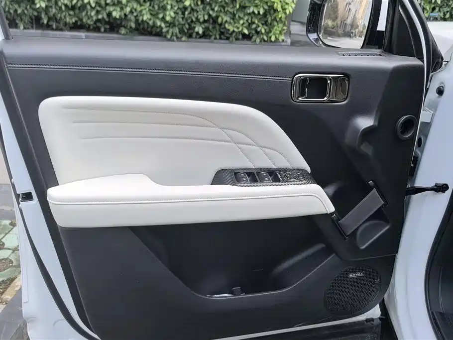 HAVAL RAPTORS NEW ENERGY