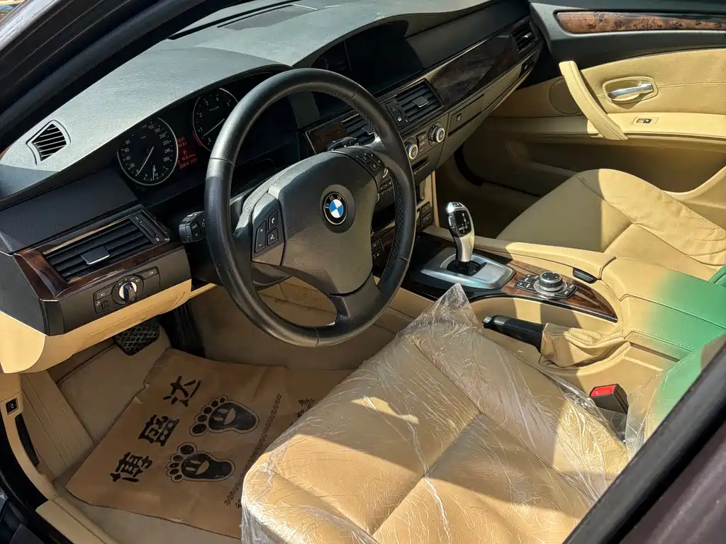 BMW 5 Series 5 2009 523Li Lead