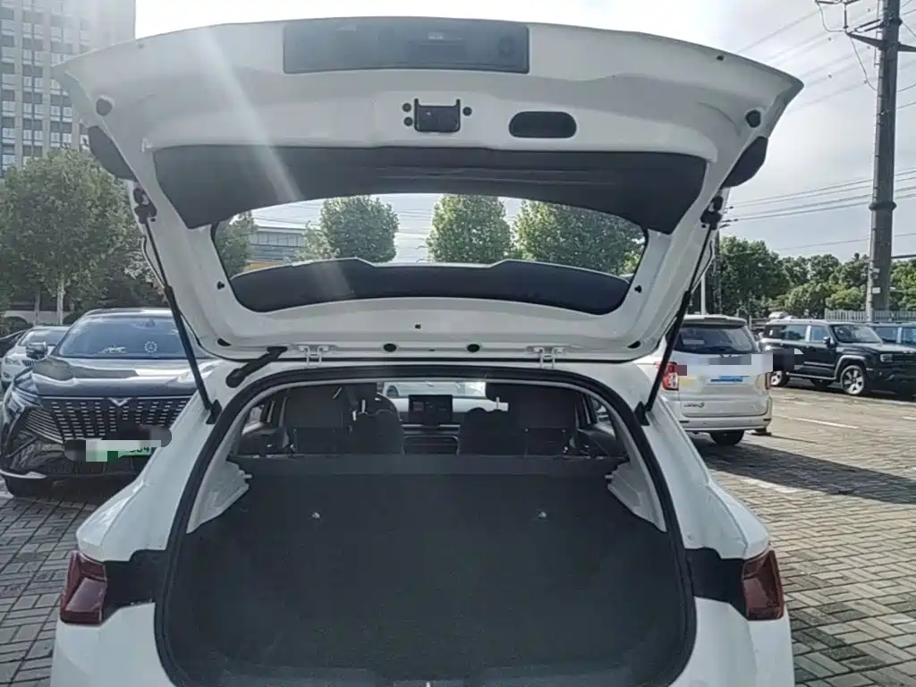 BYD e2 — миниатюра 19