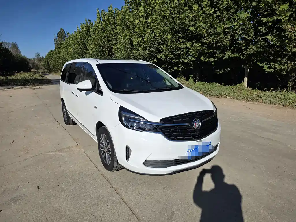 Buick GL8 — миниатюра 3