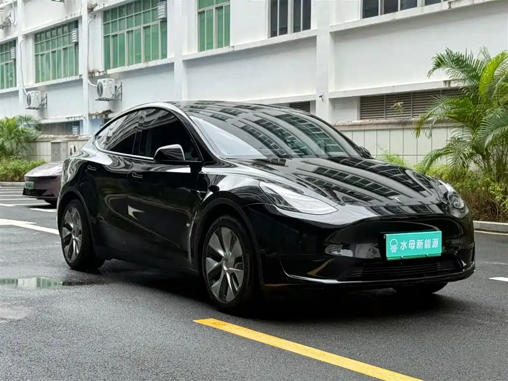 Tesla Model Y — миниатюра 12