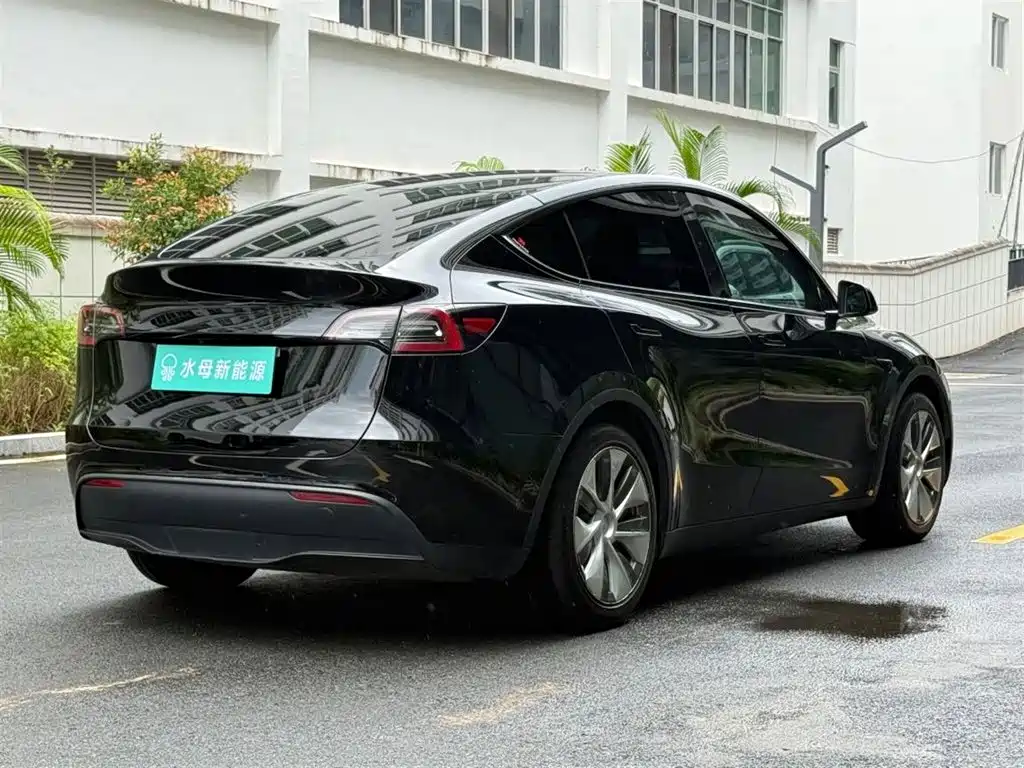 Tesla Model Y — миниатюра 14
