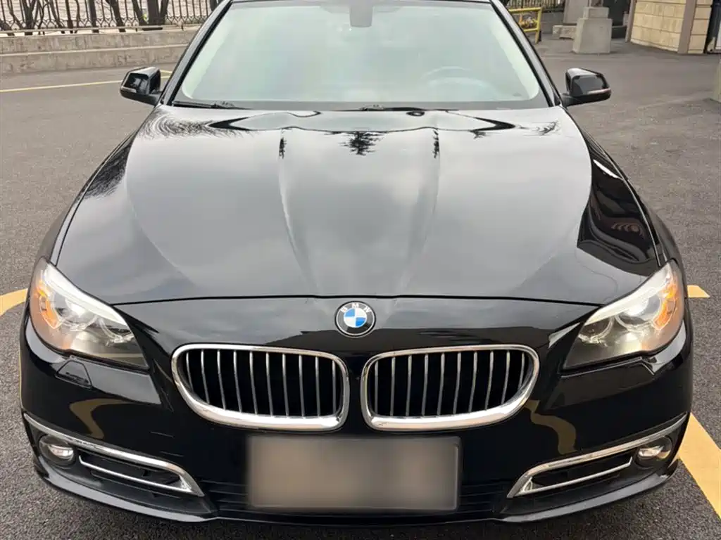 BMW 5 Series 5 2014 520Li Elegant