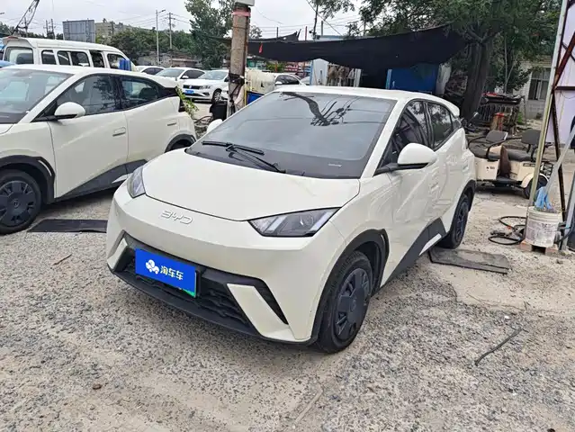 BYD 海鸥