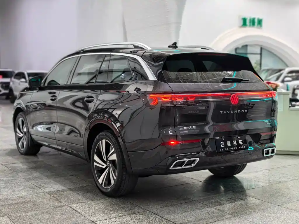 Volkswagen Tavendor — миниатюра 4