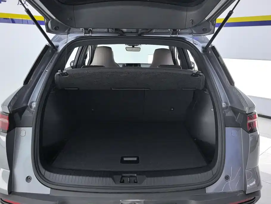 BYD Pro New Energy — миниатюра 4