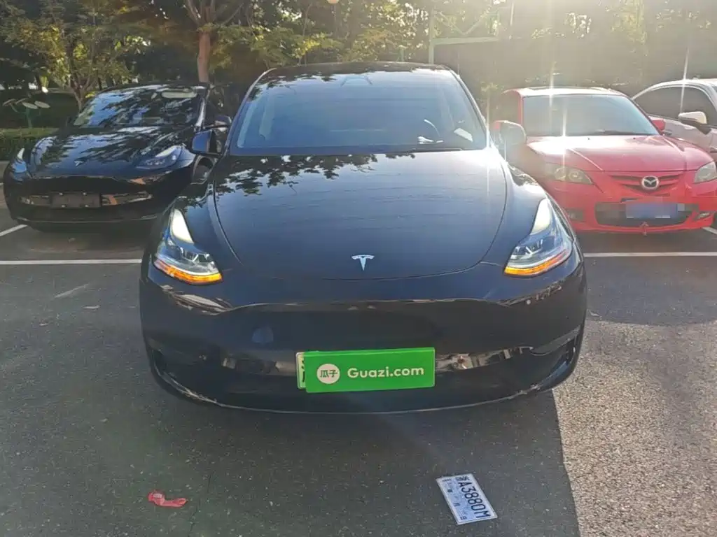 Tesla Model Y — миниатюра 3