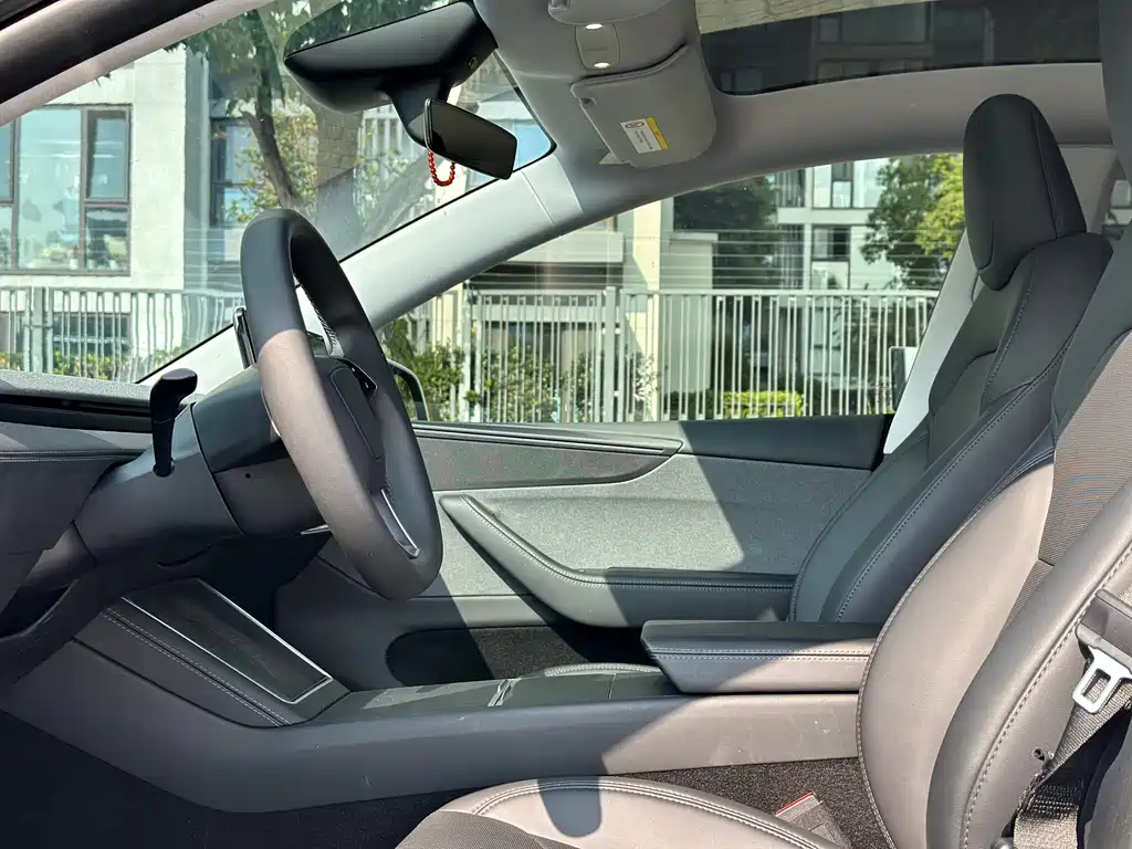 Tesla Model Y — миниатюра 9