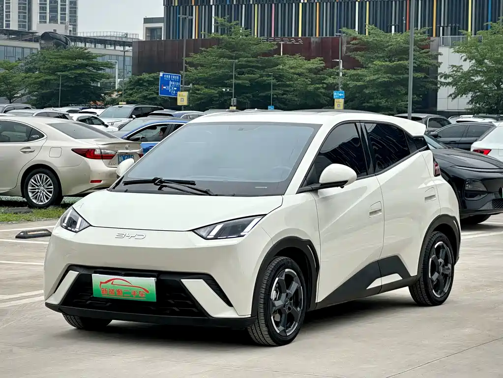 Byd Seagull 2024