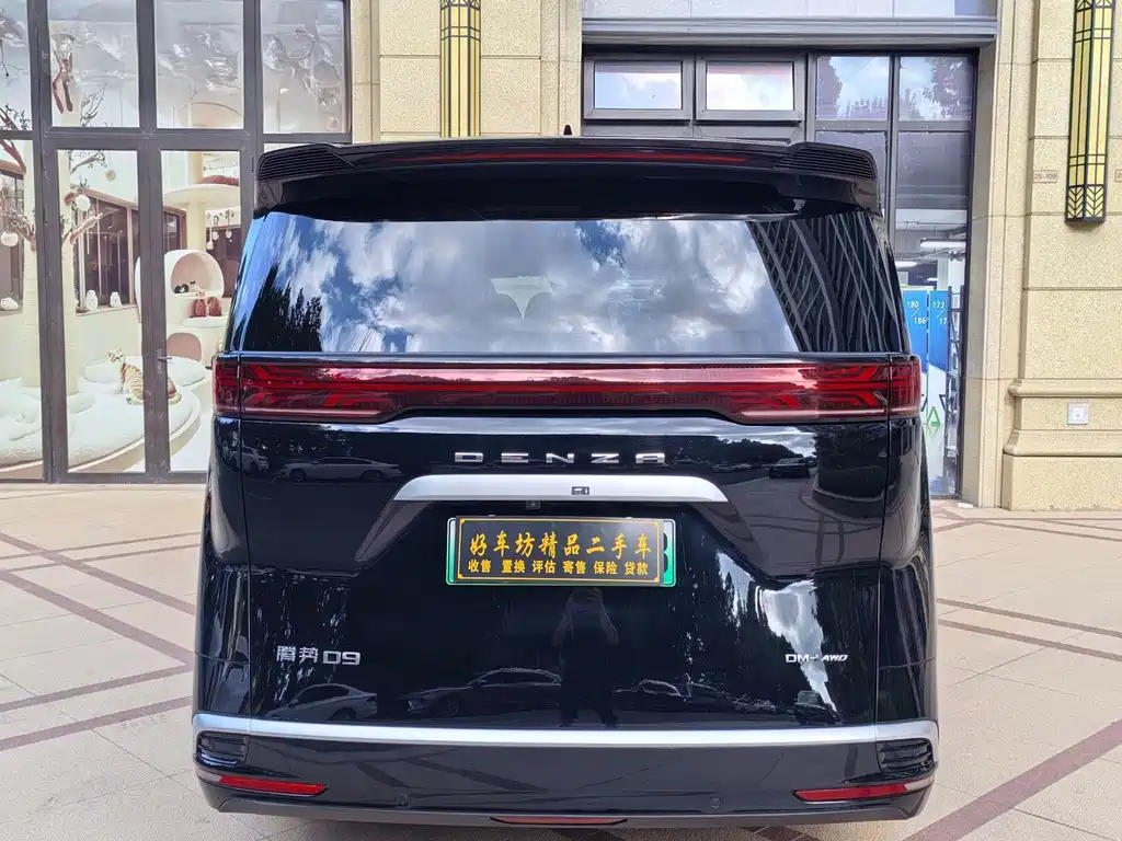 Denza Denza D9 — миниатюра 5