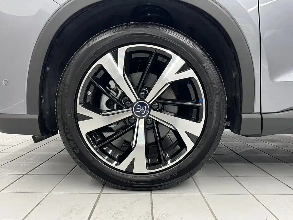 BYD SONGJIANG NEW ENERGY