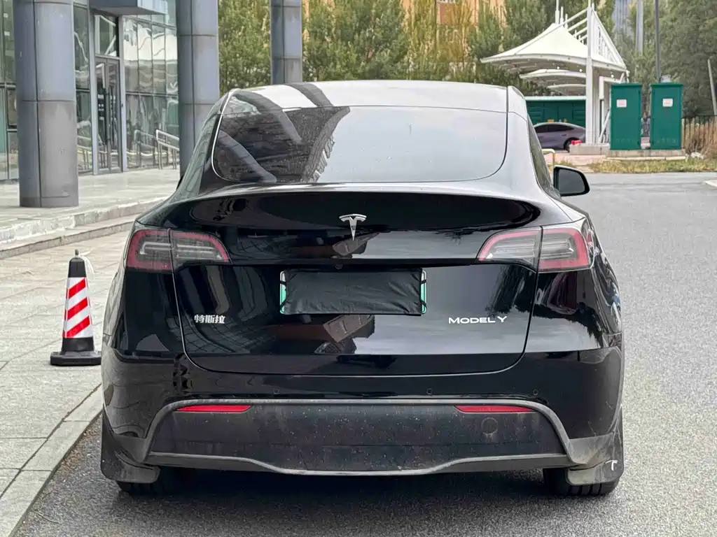 Tesla Model Y — миниатюра 5