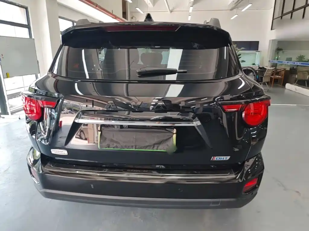 Haval Плюс новая энергия. — миниатюра 6
