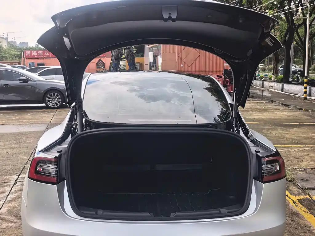 Tesla Model 3 — миниатюра 19