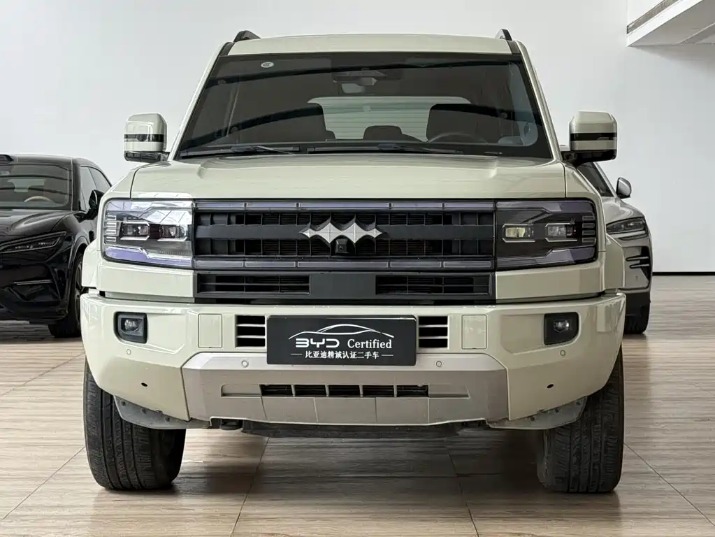 FANG CHENG BAO LEOPARD 5