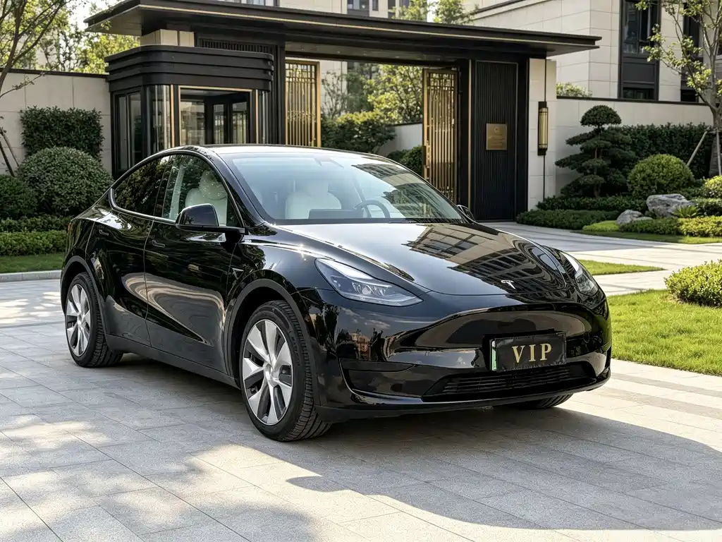 Tesla Model Y — миниатюра 3