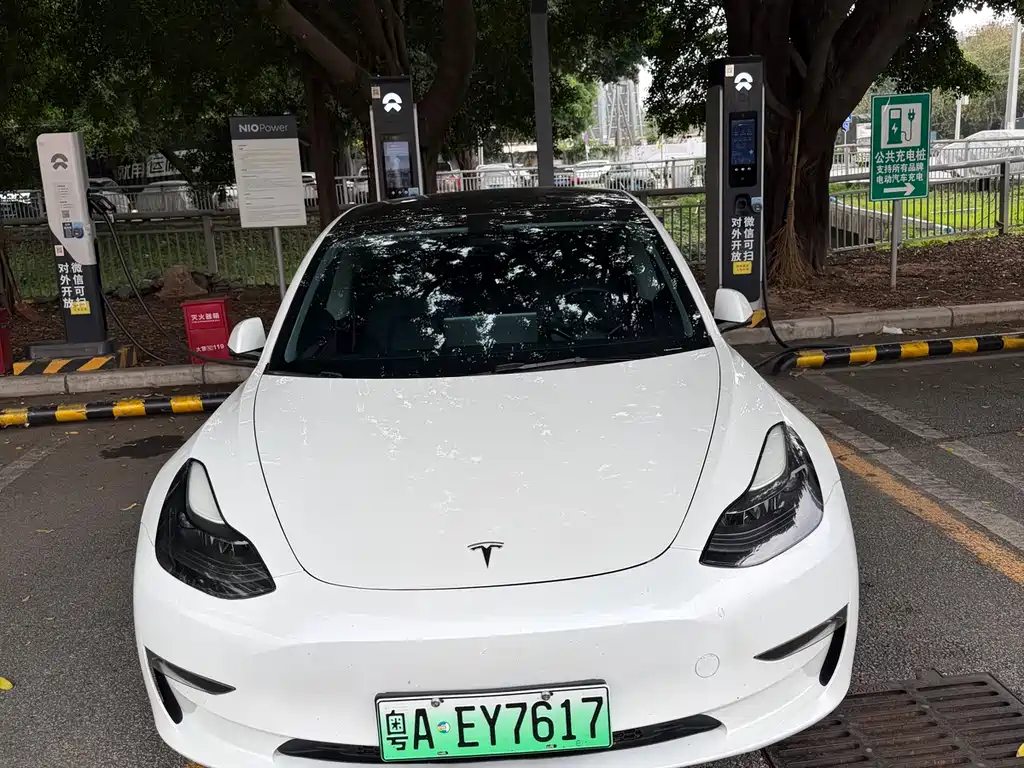 Tesla Model 3 2021