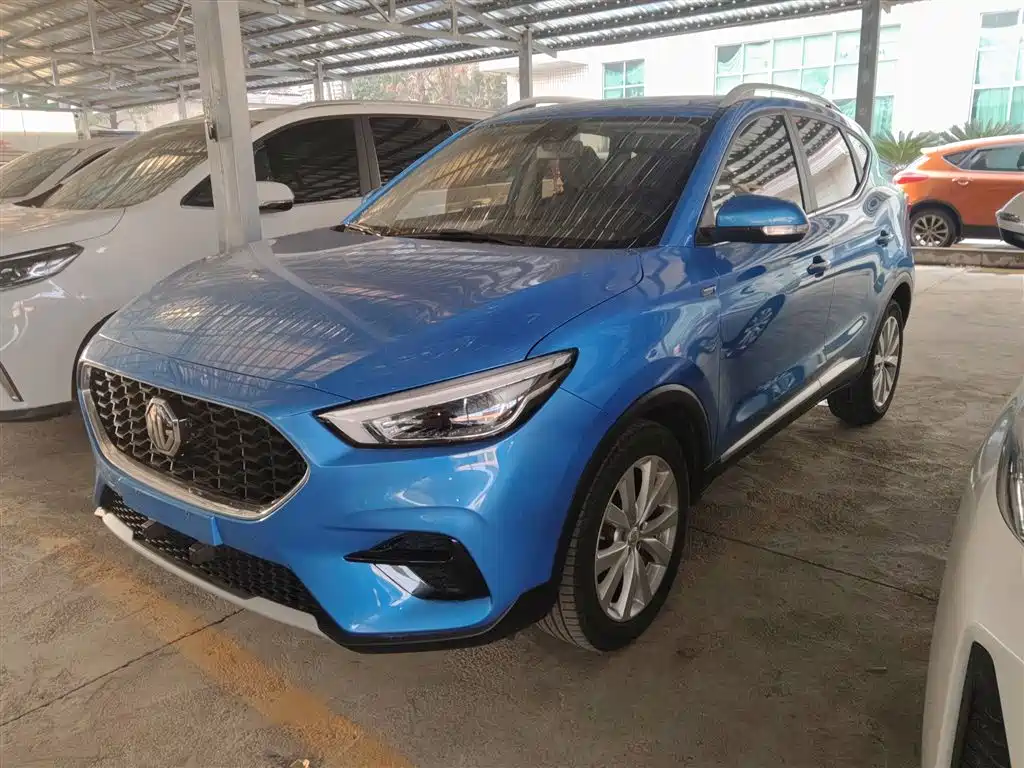 Mg ZS 2020
