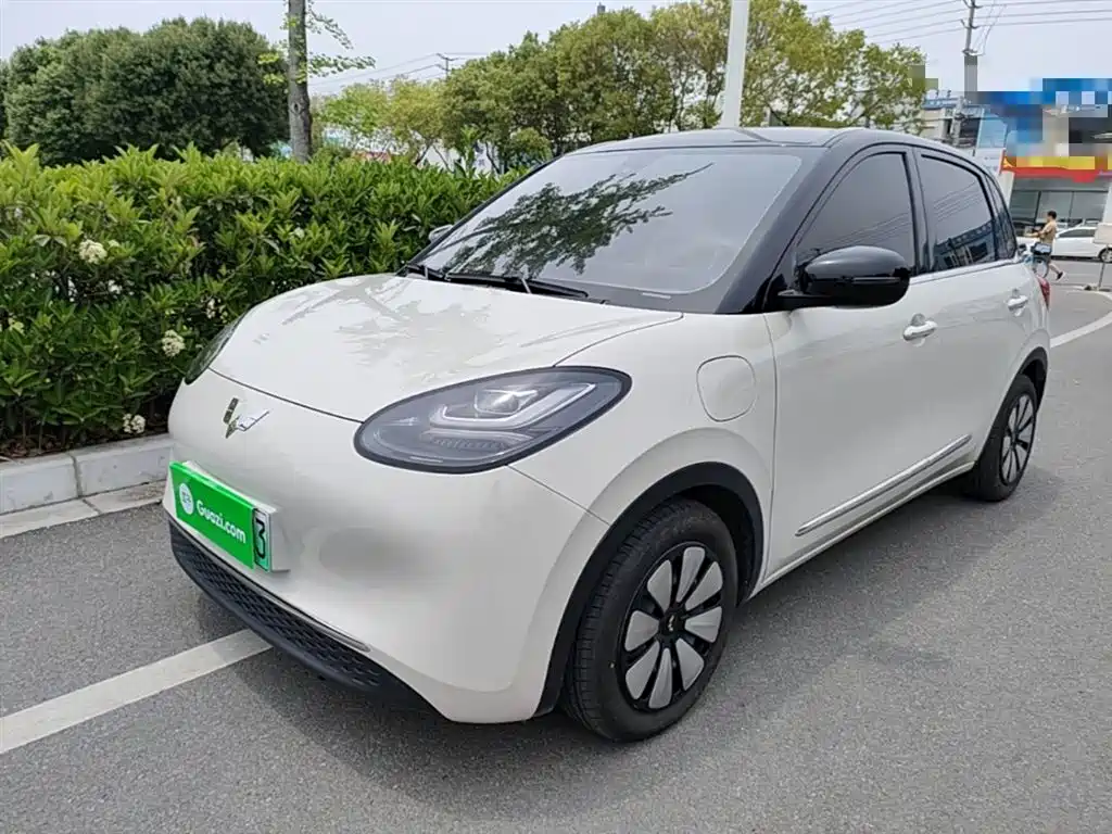 Wuling Bingo 2024