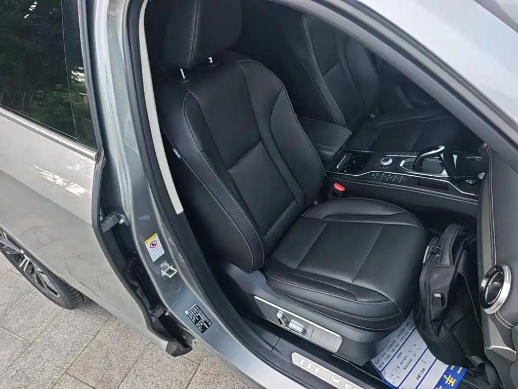 Wey Wey VV6 — миниатюра 25