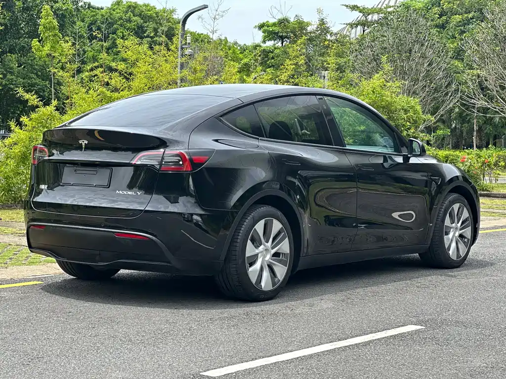 Tesla Model Y — миниатюра 11