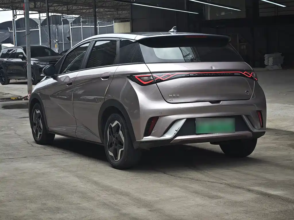 BYD Dolphin — миниатюра 6