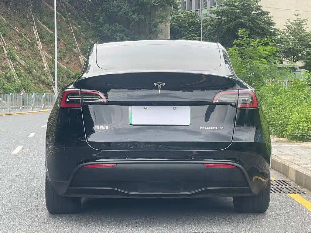 Tesla Model Y — миниатюра 5