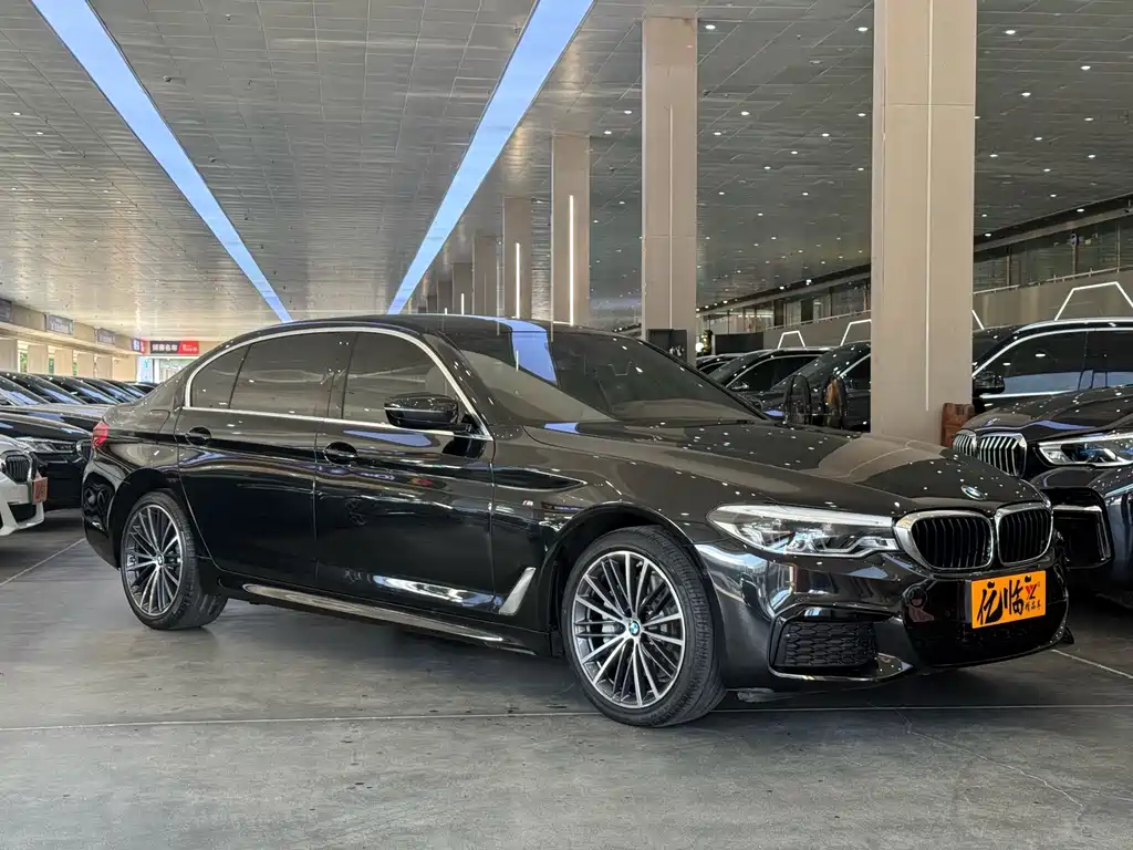 BMW 5 Series — миниатюра 3